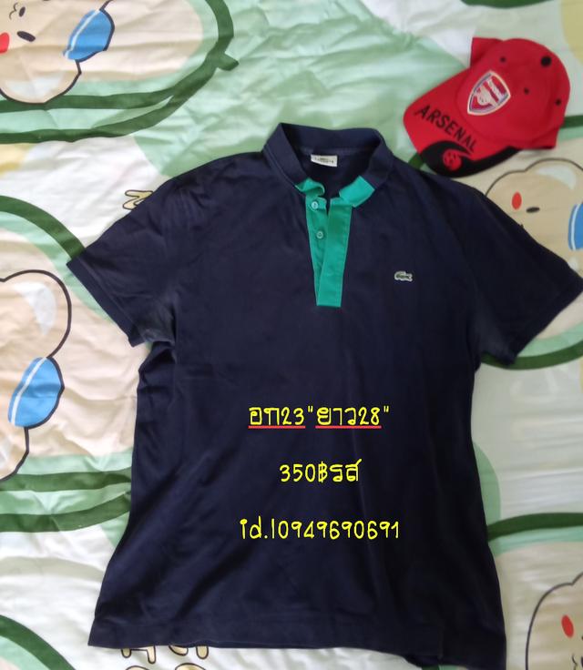 Lacoste เสื้อโปโลมือ2 นำเข้าคัด