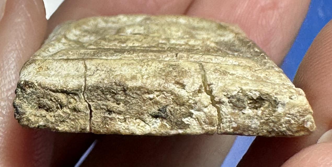 พระสมเด็จบางขุนพรหม พิมพ์เส้นด้ายใหญ่ 6