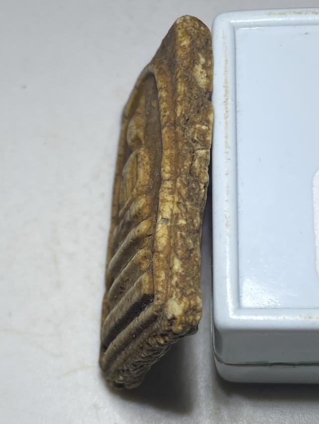 พระสมเด็จปรกโพธ์ พระแท้ ไม่รู้ที่ 3