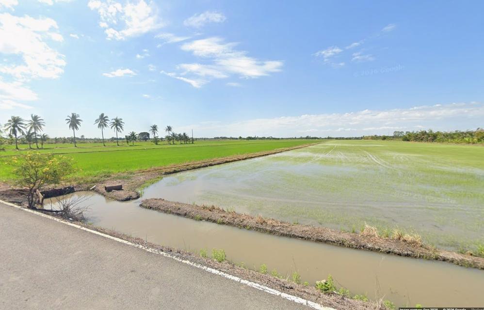 ที่ดิน ขายที่ดินหนองจอก 81-1-8.4 ไร่ (แบ่งขายได้ โฉนดละ 40 ไร่) ใกล้วัดใหม่เจริญราษฎร์ 3