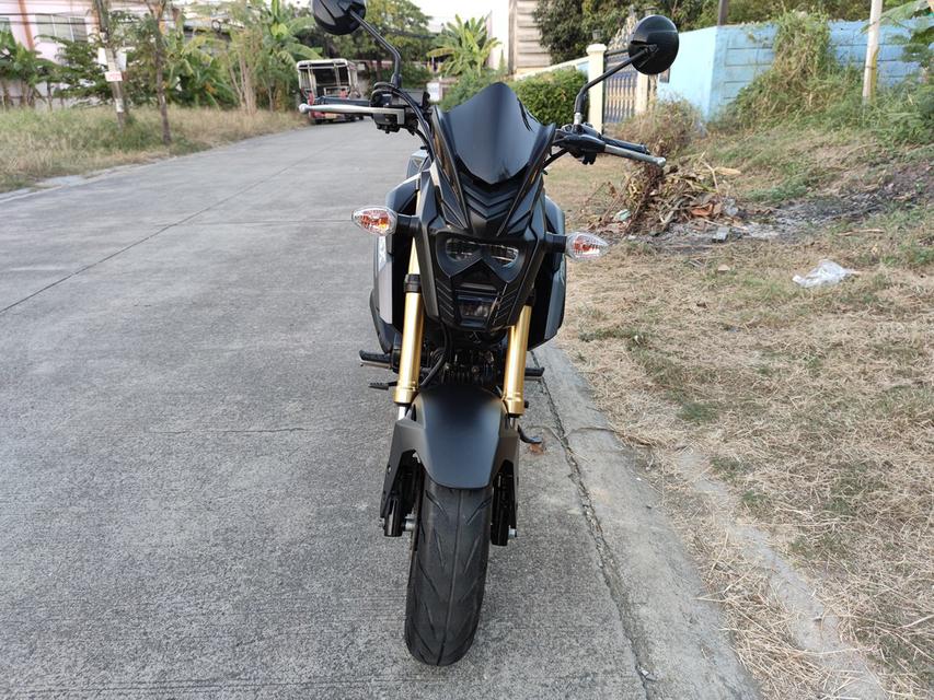    สด-ผ่อน  Honda MSX 125SF  5