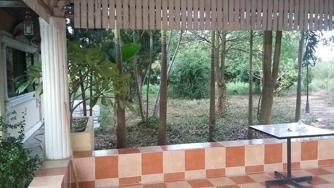 ที่ดินพร้อมบ้าน จังหวัด ลำพูน อำเภอเมือง 16