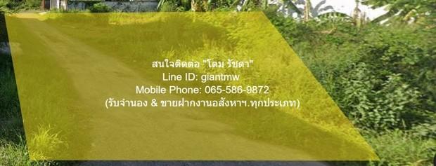 ขาย ที่ดิน //ต่ำกว่าราคาประเมิน//ขายที่ดินถมแล้ว 11-1-65.7 ไร่ ติดถนนเพชรเกษม (หมายเลข 4) ปราณบุรี จ.ประจวบคีรีขันธ์, รา 5