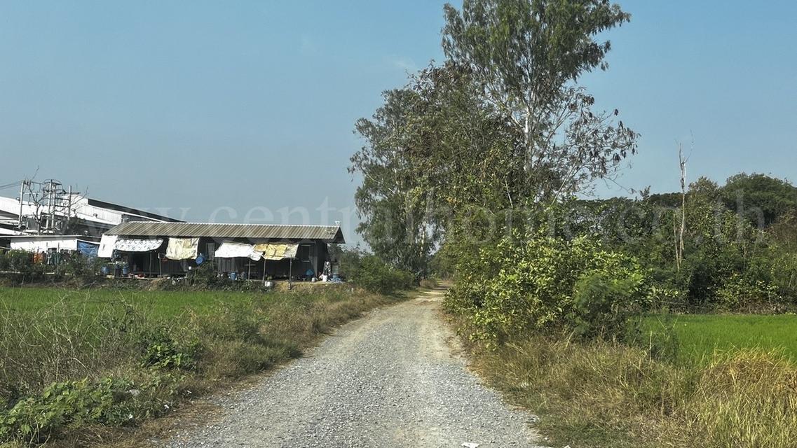 ที่ดินเปล่า 1 ไร่ หนองเพรางาย - ไทรน้อย นนทบุรี ขายถูก 9