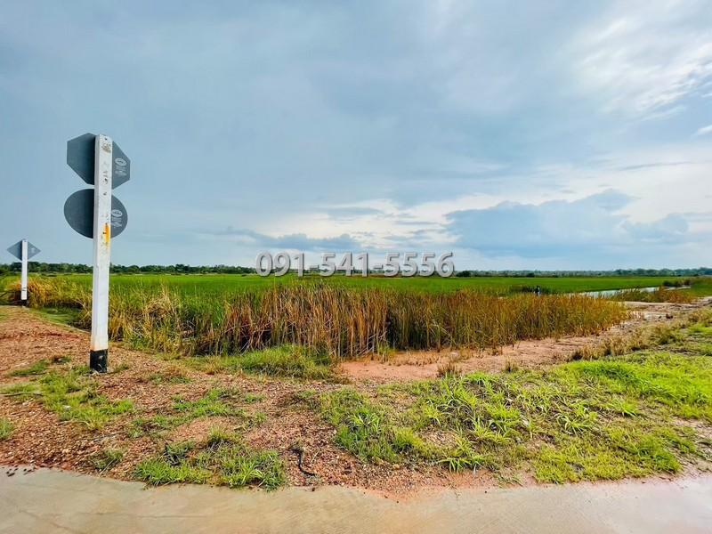 ขายที่ดิน รูปแปลงที่ดินถุงเงินถุงทอง เนื้อที่ 9-2-67.7 ไร่ ถนนวงแหวนรอบเมือง 290 เหนือตอน 2 กำปัง โนนไทย นครราชสีมา 6