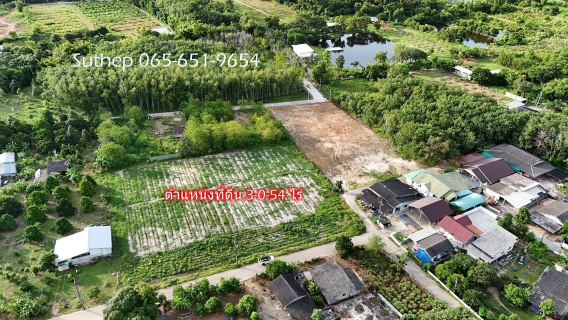 ขายที่ดินถมแล้ว 300 ตารางวา ใกล้สุขุมวิท 250 เมตร ไฟฟ้าและประปาพร้อม เพ ระยอง 8