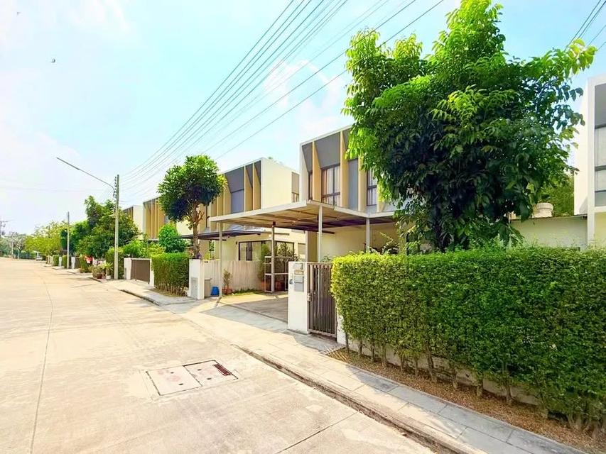 U1496 ให้เช่าบ้านเดี่ยว 2 ชั้น โครงการเอคิว เชดิ พหลโยธิน - รังสิต (AQ SHADI Phaholyothin - Rangsit) บ้านพร้อมเฟอร์ 2