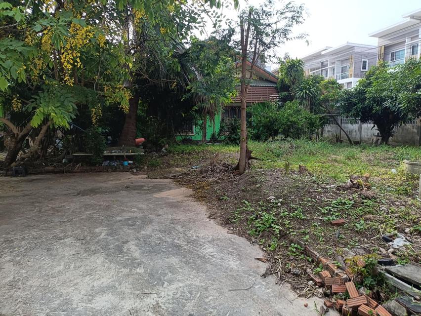 ขายด่วน‼️ ที่ดินพร้อมบ้าน ใจกลางเมืองร้อยเอ็ด