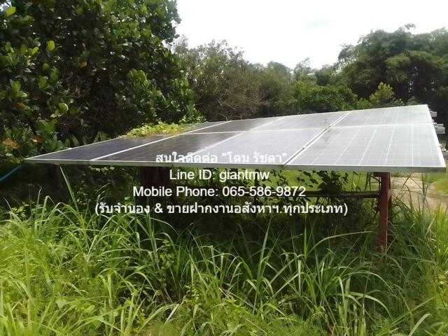 ขายที่ดินสวนผลไม้ปลอดสารพิษ (Organic) อ.ประจันตคาม จ.ปราจีนบุรี 57-0-90.4 ไร่, ราคา 57 ล้านบาท 5