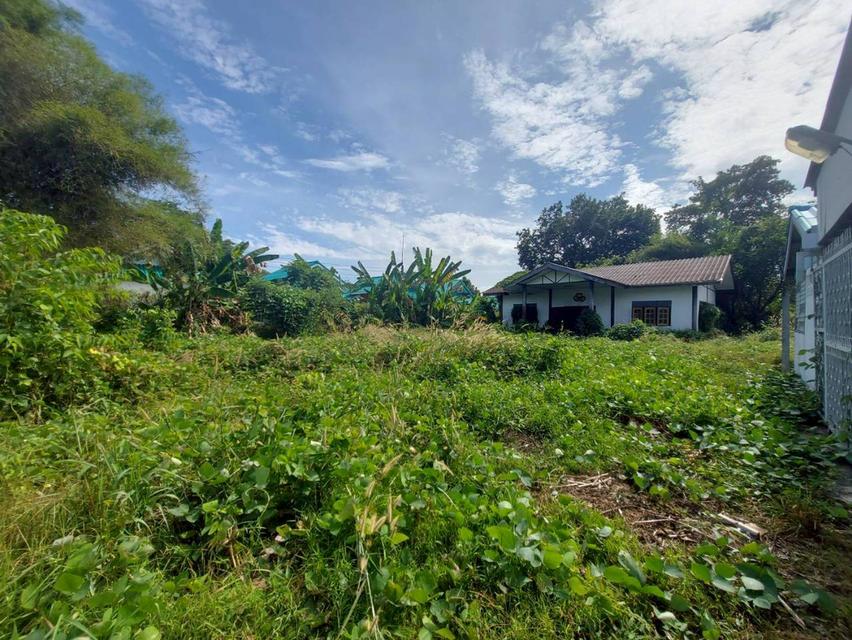 ขายที่ดินพร้อมสิ่งปลูกสร้าง ซอยหมู่บ้านธารทอง ใกล้โรงเรียนนายร้อยพระจุลจอมเกล้า 2