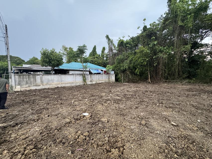 ที่ดินเปล่า 180 ตรว. น้ำพร้อม ไฟพร้อม  4