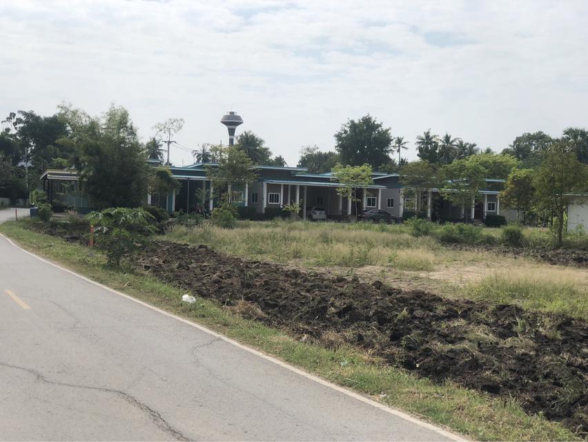 ขายทึ่ดิน 1 ไร่ ซอยดงจำปา5 ราคา 2.3 ล้าน สนใจติดต่อ 0936394245 รูปย่อยที่ 4