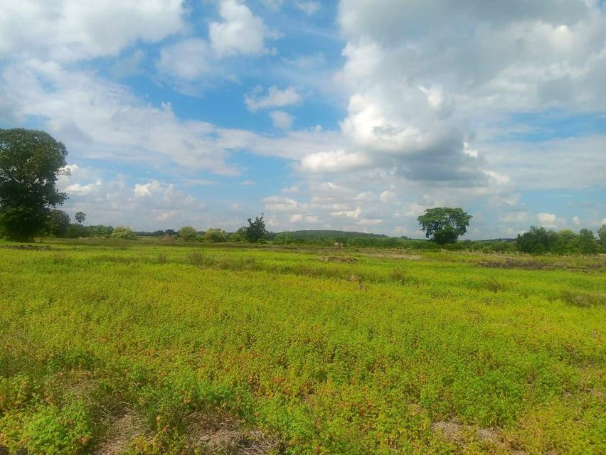 ที่ดิน จังหวัด บุรีรัมย์ อ.นางรอง เจ้าของขายเอง มีโฉนด 6