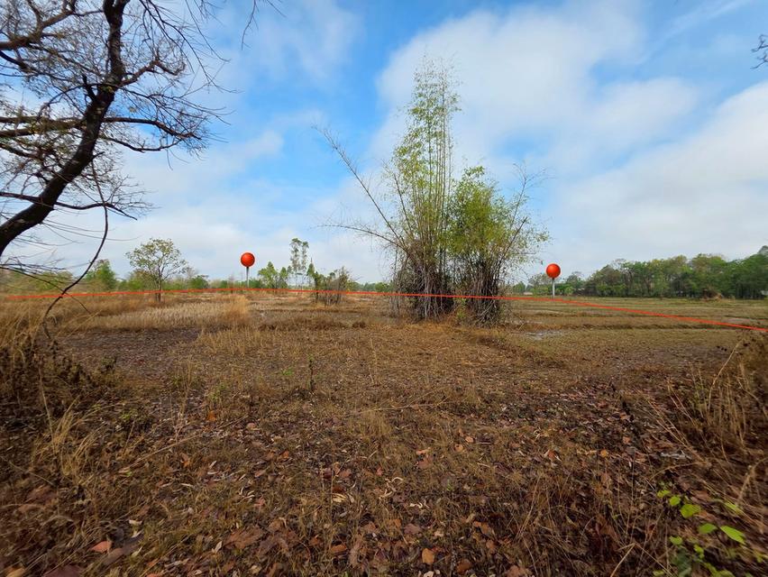 ขายด่วน ที่ดิน ติดรั้วหลัง ม.เกษตรศาสตร์ จังหวัดสกลนคร 2