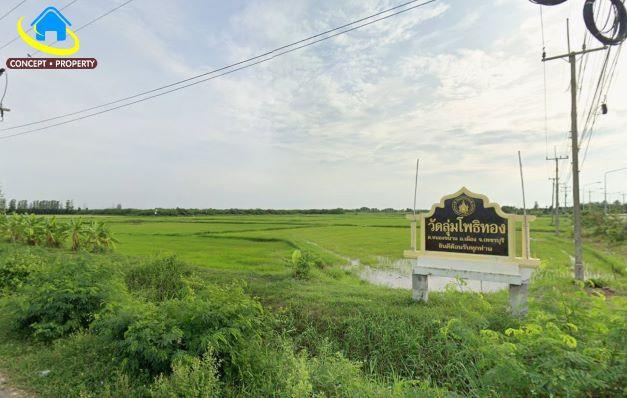 ขายที่ดิน 29 ไร่ ใกล้ทะเล ตำบลหาดเจ้าสำราญ อำเภอเมืองเพชบุรี จังหวัดเพชรบุรี 2
