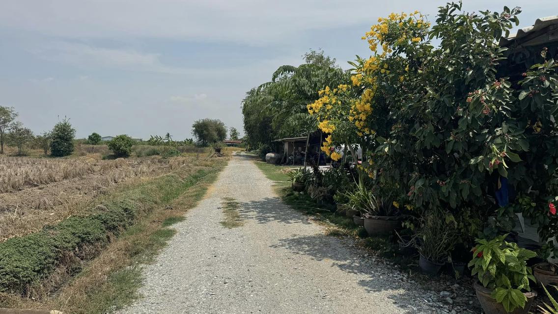 ขาย/เช่าที่ดินฉะเชิงเทรา 45 ไร่ 2