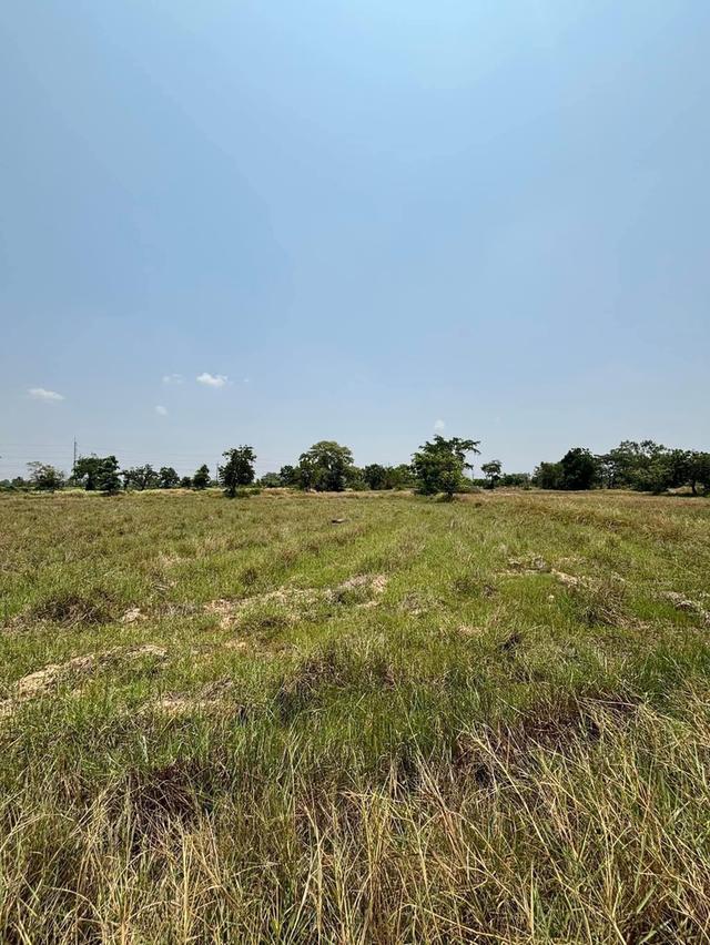 ขายที่ดิน 13 ไร่ 1 งาน 76 ตารางวา ไร่ละ 1,800,000 บาท 8