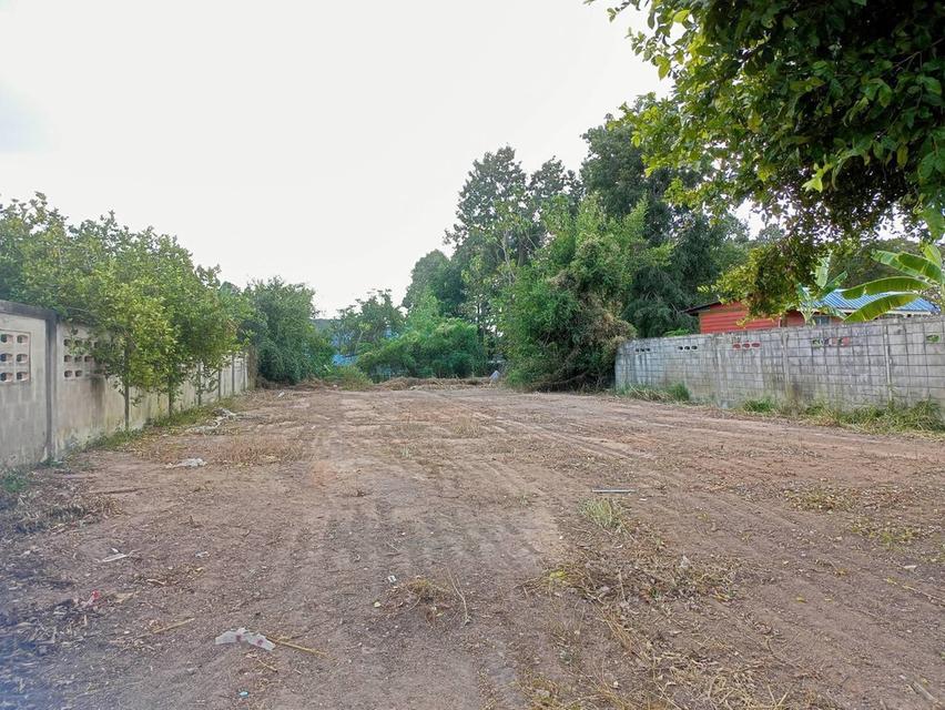 ขายที่ดินหนองปรือ พัทยา 199 ตรว.ถมแล้วซอยร่วมสุข12 ใกล้อ่างเก็บน้ำมาบประชัน-1.9กม. อ.บางละมุง ชลบุรี 2