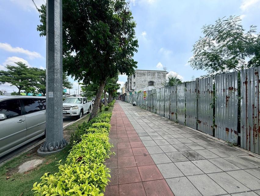 ขายด่วนที่ดิน 704 ตรว ติดถนนพุทธมณฑลสาย 2 ถนนพุทธมณฑลสาย 2 เขตบางแค กทม 10