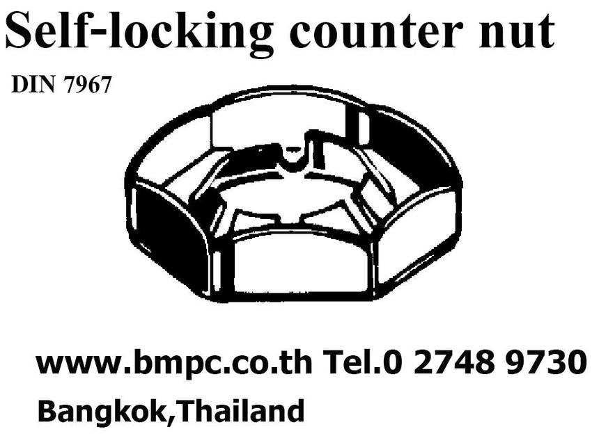 Self lock nut, Prevailing torque nut, Plastic insert nut, Jam lock nut