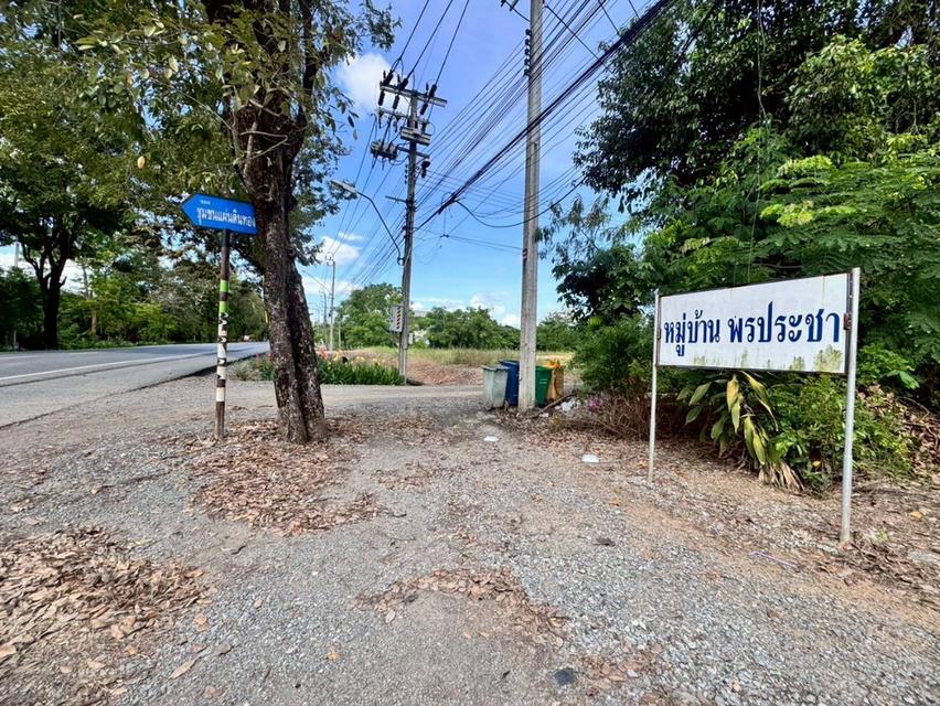 ขายที่ดิน 200 ตารางวา ถ.ประชาสำราญ เข้าซอยเพียง 350 เมตร (N.1862) 5