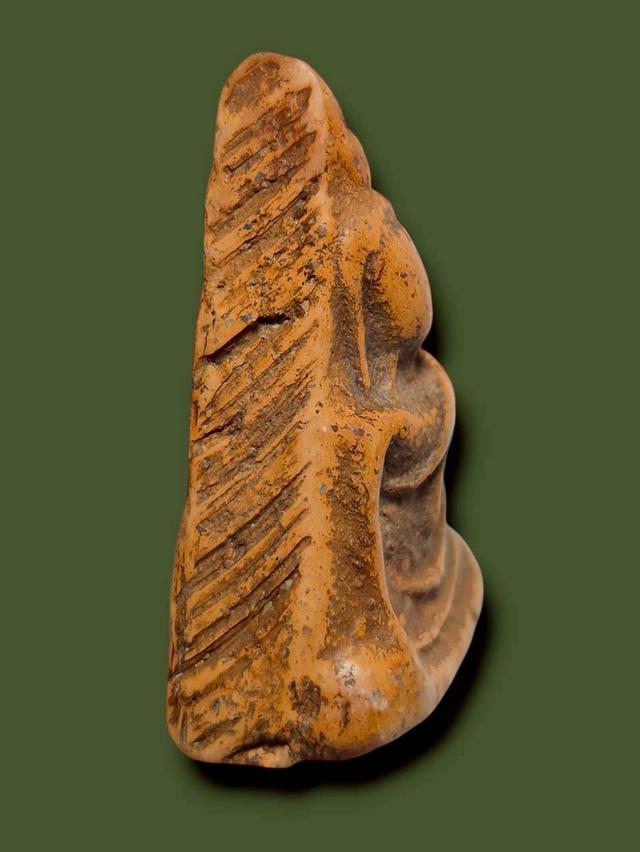 นางพญา เปิดให้บูชาจ้า 2