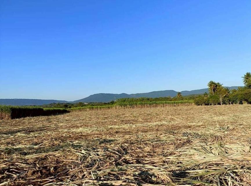 ขายตำบลคลองม่วงอำเภอปากช่องนครราชสีมา พื้นที่ 109-1-49 ไร่โฉนด 4