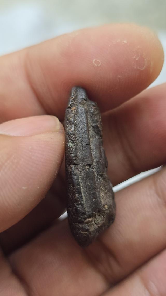 หลวงพ่อทวดเนื้อว่าน ปี 2497 พิมพ์กลางอกแฟบ(หน้ากลม) รูปที่ 6