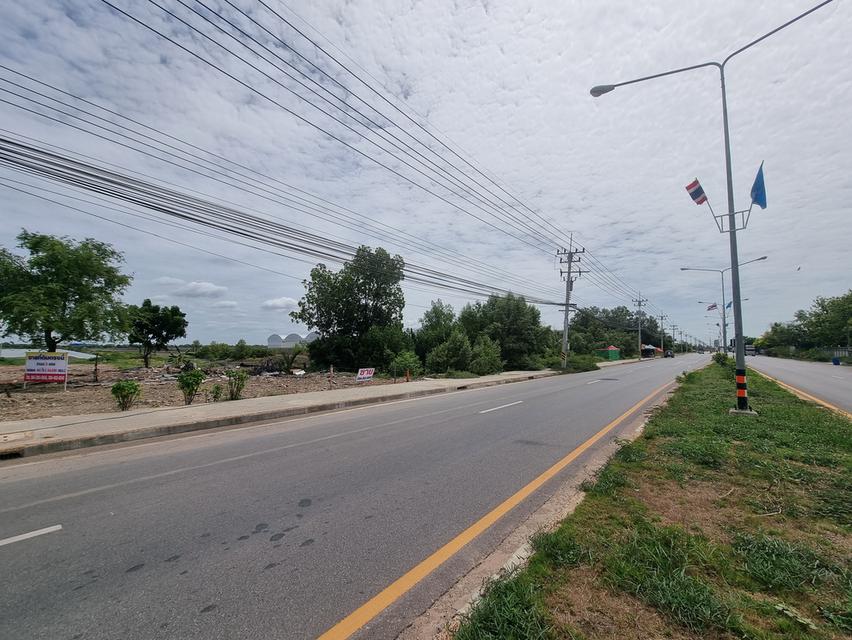ขายที่ดินมหาชัย120ไร่ 9