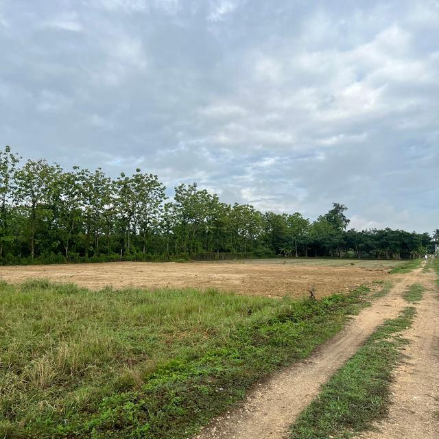 ที่ดิน เจ้าของขายเอง ปี 2569 10