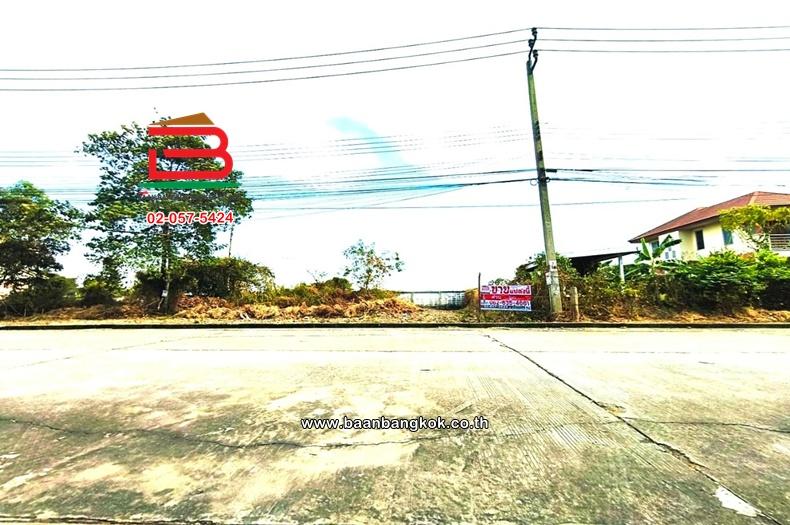 ที่ดินเปล่า เนื้อที่ 76.1 ตร.ว. หมู่บ้านเอกสิริน ถนนโยธาธิการ นนทบุรี 2029 ตำบลลำโพ อำเภอบางบัวทอง นนทบุรี 4