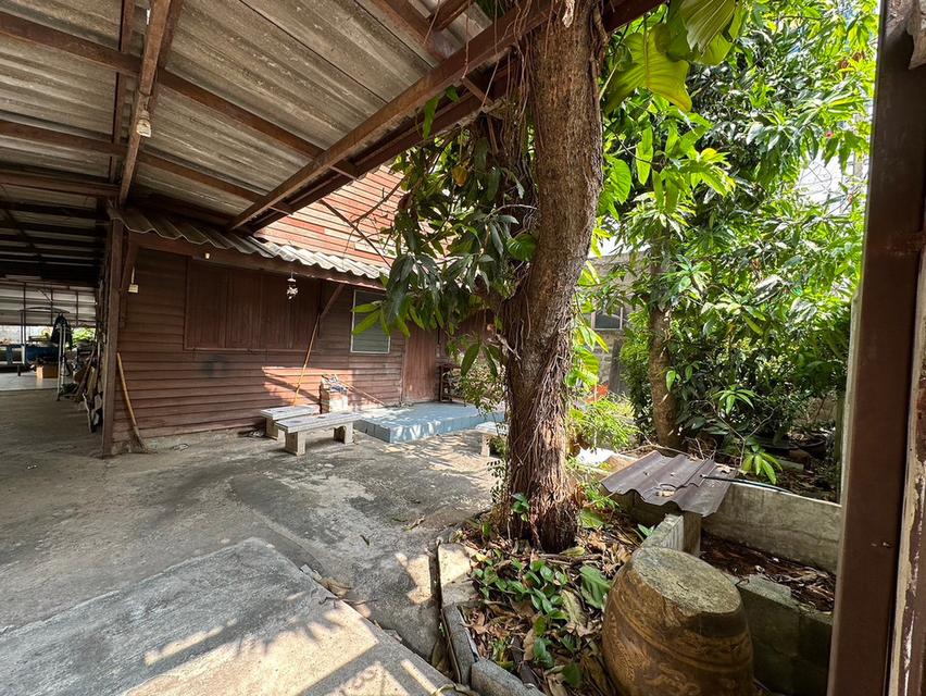 ขายที่ดิน ถ. ประชาราษฎร์ ( ซ.วัดลานนาบุญ ) ถ. นครอินทร์ , ใกล้ บิ๊กซี ติวานนท์ , MRT (สะดวกแม้ไม่ใช้รถ เดินสบายใกล้ถนนใหญ่เพียง 2 นาที) 9