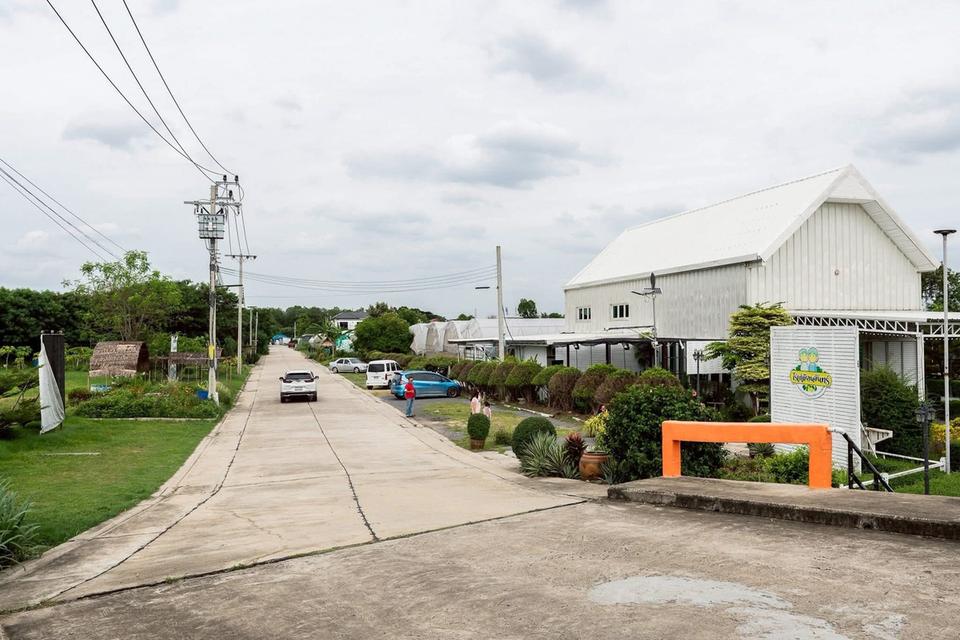 ที่ดินพร้อมสิ่งปลูกสร้างคาเฟ่โรงเรือน เลียบคลองทวีวัฒนาต้นทางเพชรเกษม 8