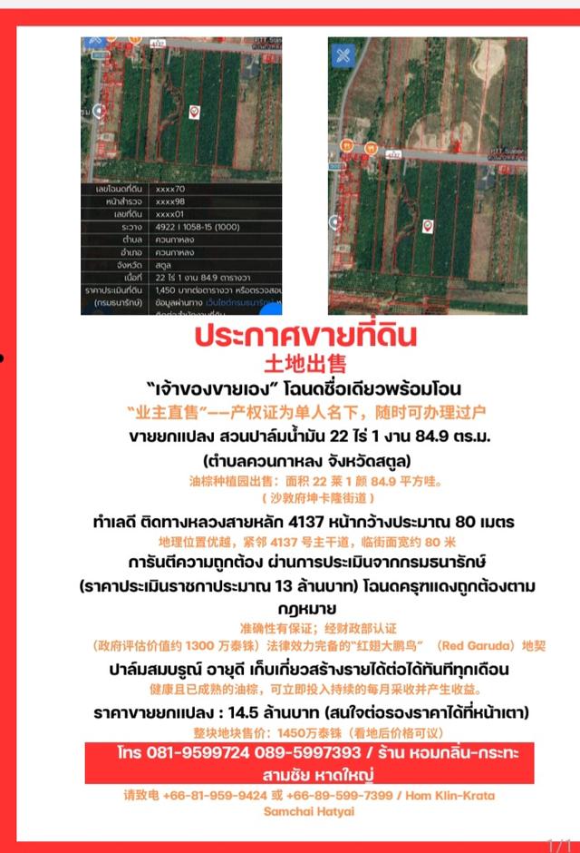 ที่ดินสวนปาล์ม อำเภอควนกาหลง จังหวัด สตูล ติดถนนทางหลวง 4137 1