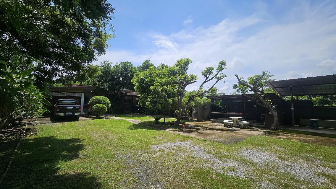 🏡ขายที่ดินแถมบ้านสวนใกล้ร.พ.สันทราย/กาดฝรั่ง/ม.แม่โจ้ เข้าเมืองไม่เกิน 20 นาที น้ำไม่ท่วม