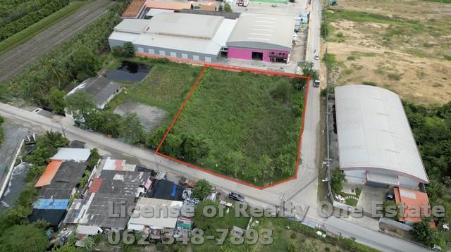 ขายที่ดินทำเลทอง พุทธมณฑลสาย 7 – สามพราน นครปฐม ติดถนนคอนกรีต แปลงมุม 2