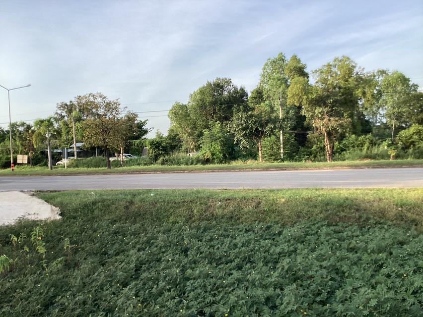 ขายที่ดินติดถนนเมนหลักใกล้สถานีรถไฟใหม่ “นครพนม” 3