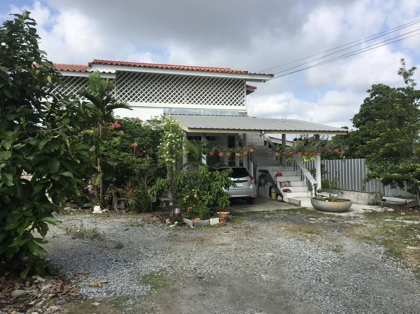 บ้านริมน้ำ 243 ตรว. บางบ่อ ขายถูก 1