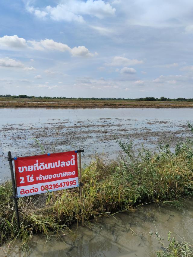 ขายที่ดิน(ยังไม่ถม มีถนนตัดผ่าน) 4 ไร่ คลอง 23 อ.องครักษ์ จ.นครนายก  2