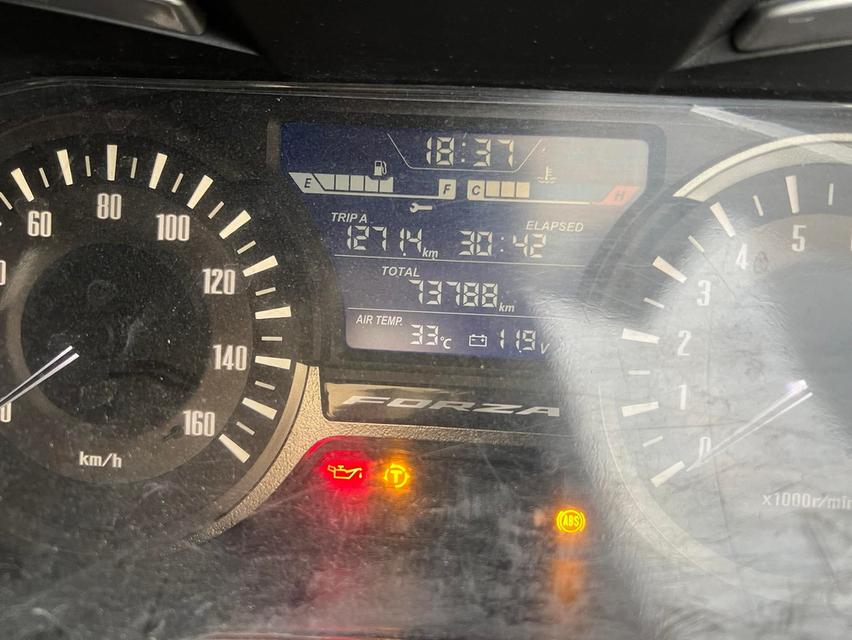 Forza300