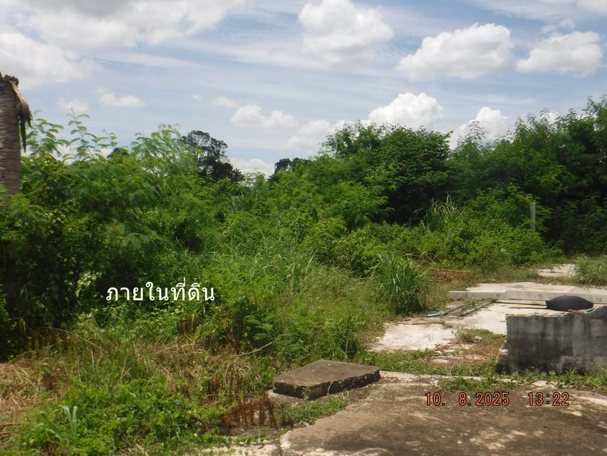 ขายที่ดิน 12ไร่หรือแบ่งขาย9ไร่ ได้ ราคาไร่ละ 6 แสน ต.ห้วยแห้ง อ.แก่งคอย 10