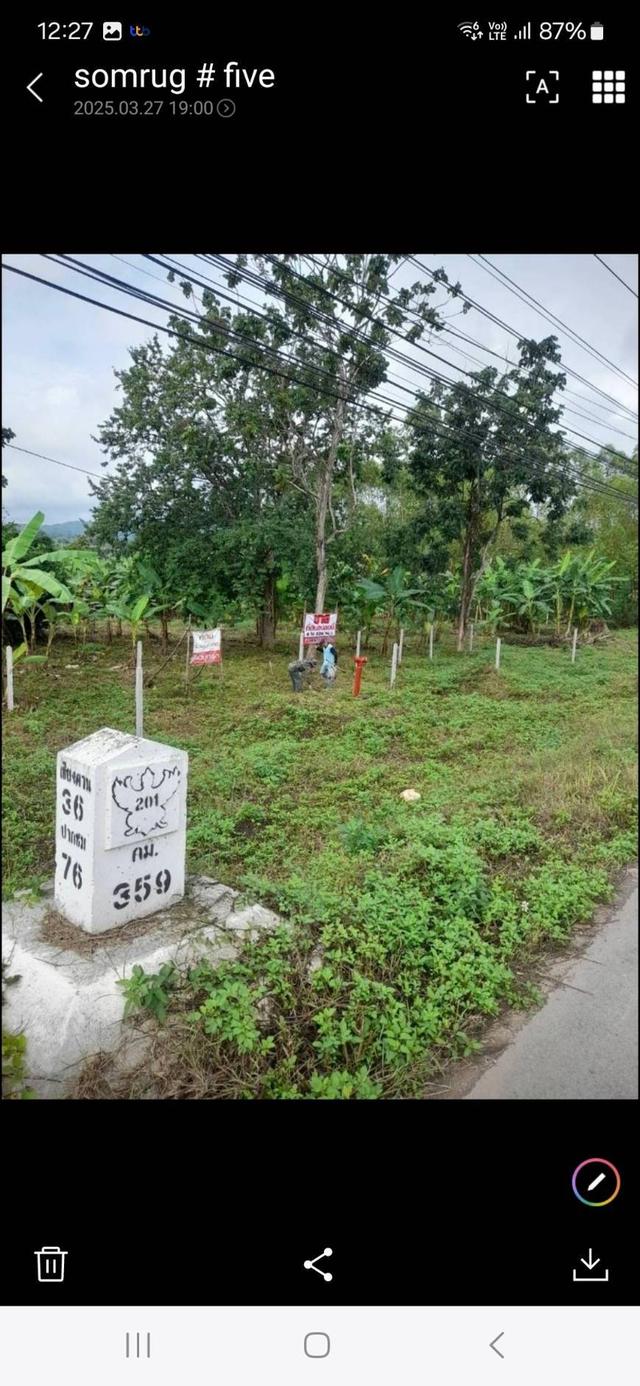 ขายที่ดิน จ.เลย  8-2-29 ไร่ ติดถนนหลัก เส้น 201 เลย-เชียงคาน  ต.ศรีสองรักษ์ อ.เมือง จ.เลย 1