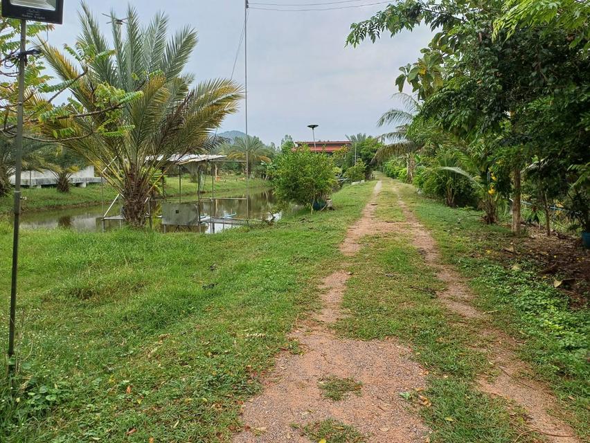 ขายที่ดิน อ.บ้านโป่ง  จ. ราชบุรี 6 ไร่ พร้อมบ้าน 3 หลัง 14