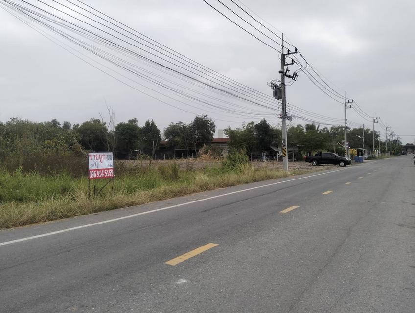 ขายที่ดิน1ไร่ถนนเชียงรากน้อย อ.บางปะอิน จ.พระนครศรีอยุธยา 5