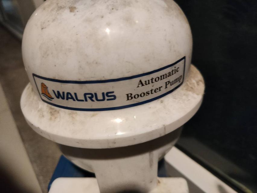 ขายเครื่องปั๊มน้ำยี่ห่อ walrus tp825p 2