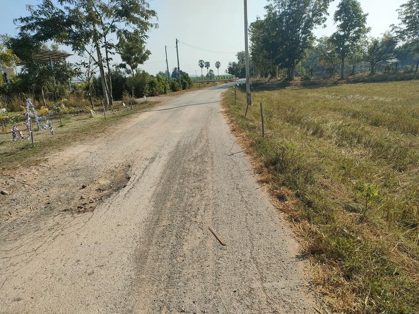 ขายที่ดินเกษตรด่วนจำนวน 6 ไร่ 3 งาน 84 ตารางวาน้ำไฟเข้าถึงอยู่ในเขตชุมชนหมู่บ้าน 7