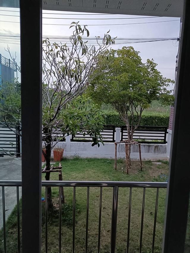 บ้านเดี่ยว