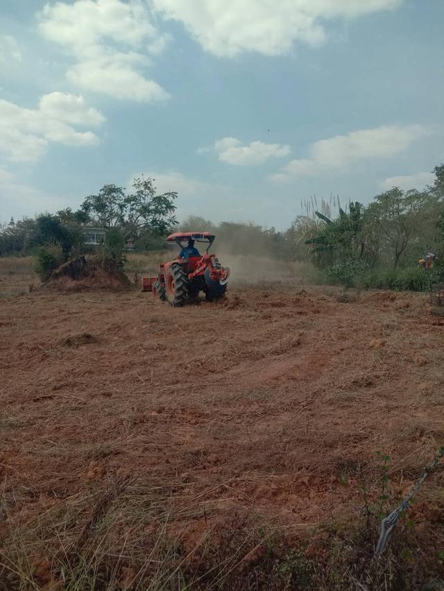 ที่ดินเปล่า มีหลายไร่ แบ่งขาย 1 ไร่ 6 แสน บ้านศิลางาม  วังน้ำเขียว