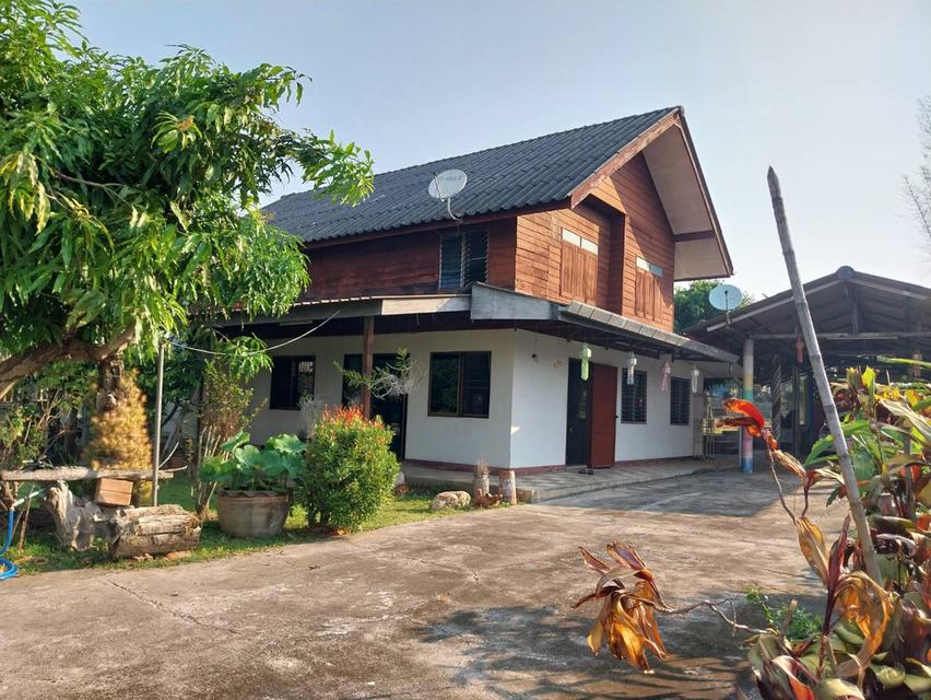ขายบ้านพร้อมที่ดิน ทำเลดี วิวสวย บรรยากาศธรรมชาติ จังหวัดเชียงใหม่ 7