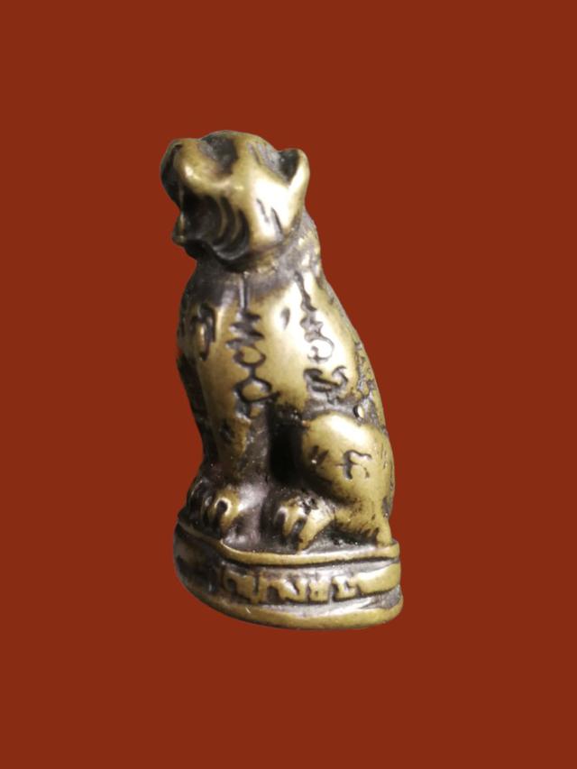 เสือหลวงพ่อเปิ่น วัดบางพระ เนื้อทองเหลือง 4